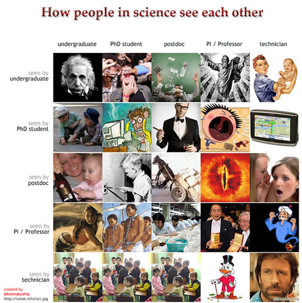 how-people-in-science-see-each-other-10799-1313604399-16.jpg